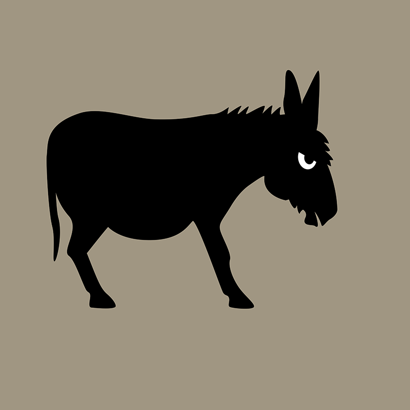 Angry Animals: Bad ass donkey