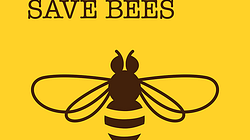 For the bees: Be Safe – Save Bees