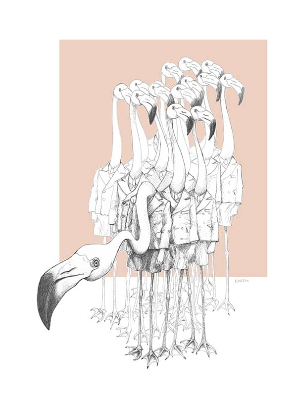Weird & Wonderful: Flamingo Boys