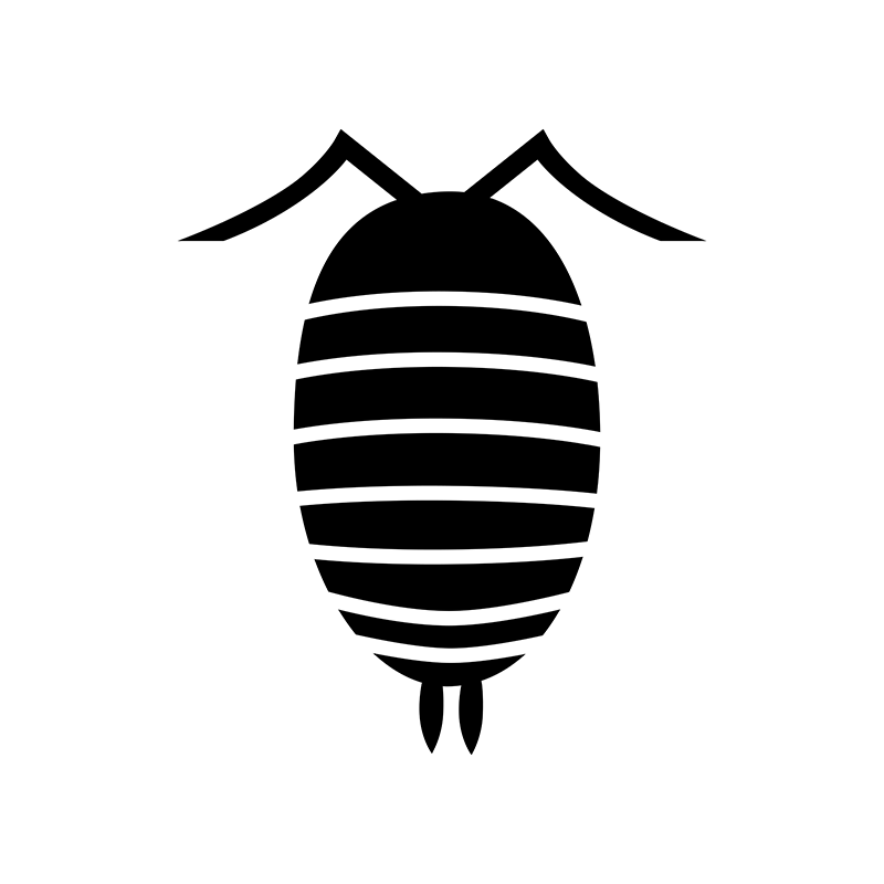 Bugs - Isopod