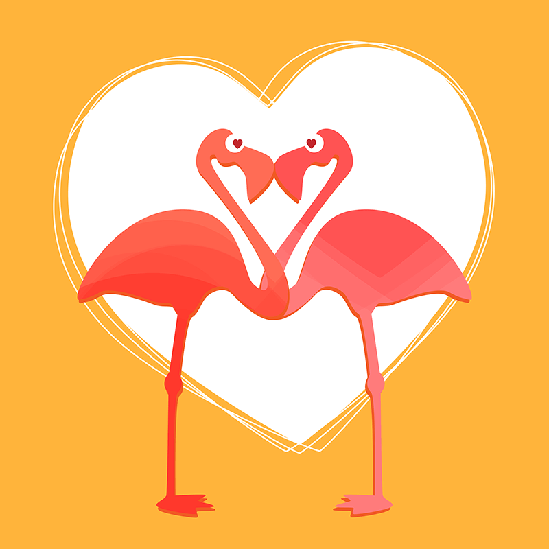 Lovebirds Flamingos