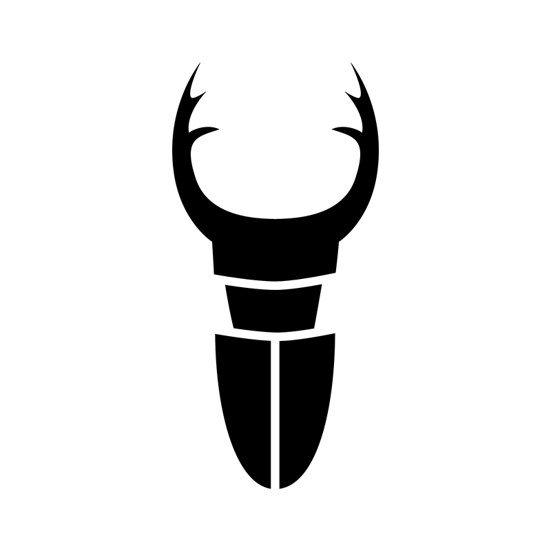 Bugs - Stag beetle