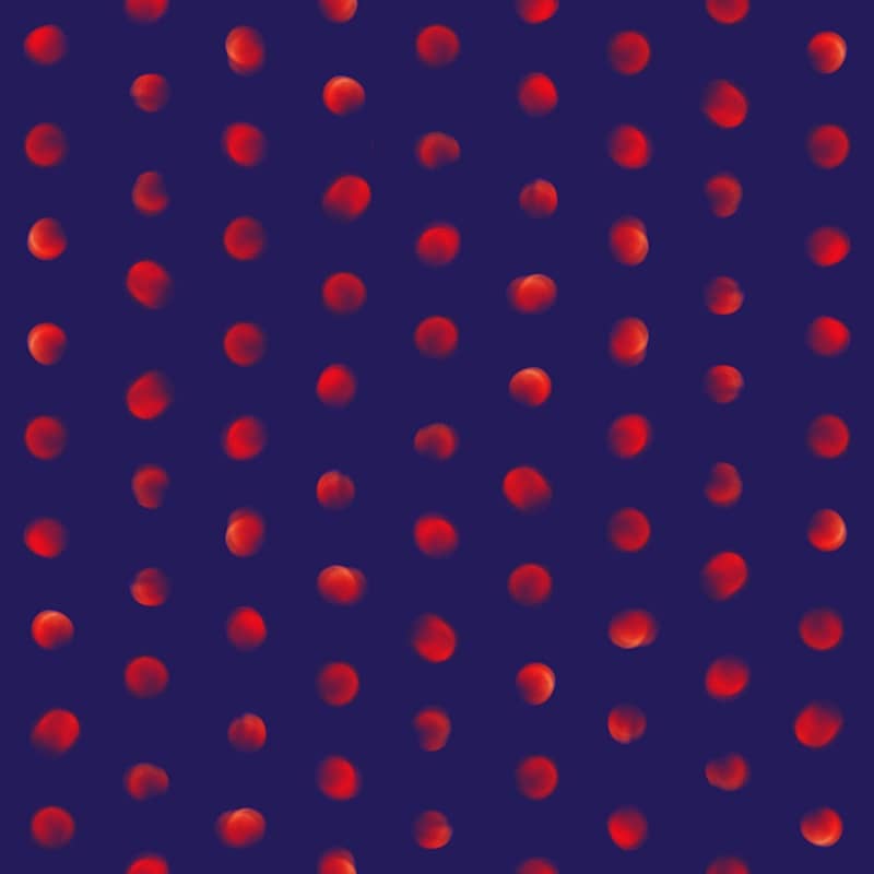 total eclipse of the polka dot