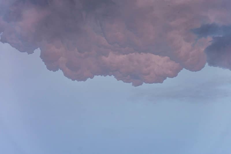 VF PHoto - under soft pink clouds